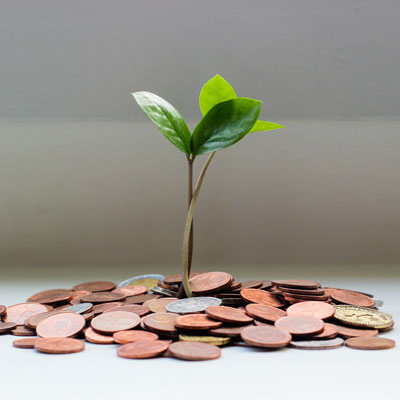 Leaves growing from coins